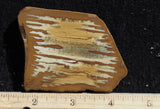 Owyhee Jasper Rock Slab 325