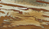 Owyhee Jasper Rock Slab 325