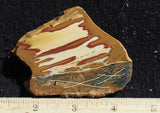 Owyhee Jasper Rock Slab 467