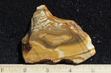 Owyhee Jasper Rock Slab 353