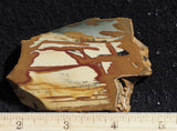 Owyhee Jasper Rock Slab 426