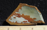 Owyhee Jasper Rock Slab 422