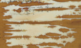 Owyhee Jasper Rock Slab 360