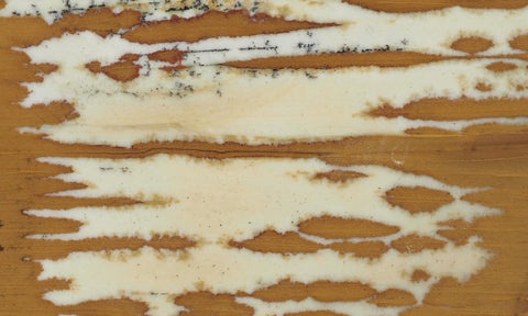 Owyhee Jasper Rock Slab 360