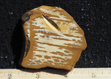 Owyhee Jasper Rock Slab 360