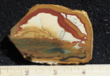 Owyhee Jasper Rock Slab 398