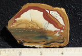 Owyhee Jasper Rock Slab 398