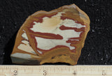 Owyhee Jasper Rock Slab 354