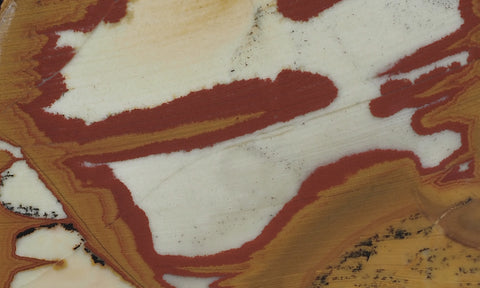 Owyhee Jasper Rock Slab 354
