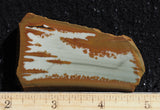 Owyhee Jasper Rock Slab 335
