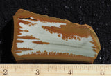 Owyhee Jasper Rock Slab 335