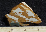 Owyhee Jasper Rock Slab 469