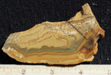 Owyhee Jasper Rock Slab 348