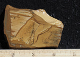 Owyhee Jasper Rock Slab 475