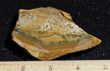 Owyhee Jasper Rock Slab 476