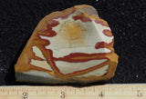 Owyhee Jasper Rock Slab 447