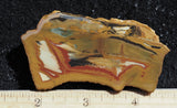 Owyhee Jasper Rock Slab 380
