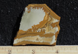 Owyhee Jasper Rock Slab 330