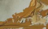 Owyhee Jasper Rock Slab 330