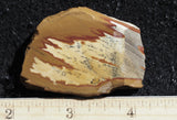 Owyhee Jasper Rock Slab 478