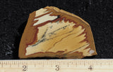 Owyhee Jasper Rock Slab 395