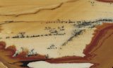Owyhee Jasper Rock Slab 395