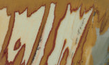 Owyhee Jasper Rock Slab 370