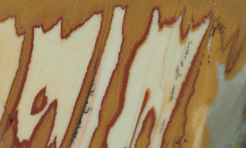 Owyhee Jasper Rock Slab 370
