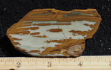 Owyhee Jasper Rock Slab 338