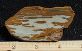 Owyhee Jasper Rock Slab 338