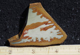 Owyhee Jasper Rock Slab 333