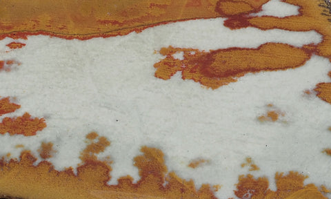 Owyhee Jasper Rock Slab 333