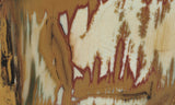Owyhee Jasper Rock Slab 328