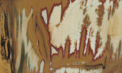 Owyhee Jasper Rock Slab 328