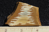 Owyhee Jasper Rock Slab 349