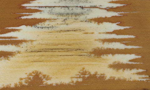Owyhee Jasper Rock Slab 349