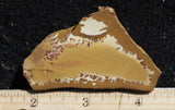 Owyhee Jasper Rock Slab 401