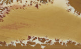 Owyhee Jasper Rock Slab 401