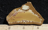 Owyhee Jasper Rock Slab 401
