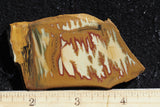 Owyhee Jasper Rock Slab 414