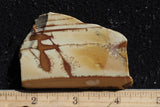 Owyhee Jasper Rock Slab 399