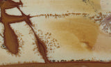 Owyhee Jasper Rock Slab 399