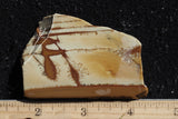 Owyhee Jasper Rock Slab 399