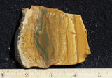 Owyhee Jasper Rock Slab 477