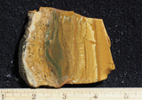 Owyhee Jasper Rock Slab 477