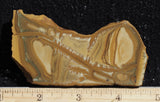 Owyhee Jasper Rock Slab 367