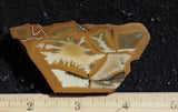 Owyhee Jasper Rock Slab 394