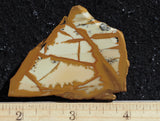 Owyhee Jasper Rock Slab 381