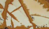 Owyhee Jasper Rock Slab 381