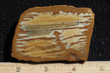 Owyhee Jasper Rock Slab 385